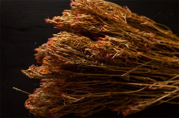 食べる雑草で環境保護！侵略的植物を美味しく駆除する方法