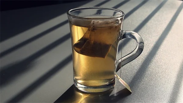 ハロウィンにおすすめ！変わったカボチャ10種の育て方