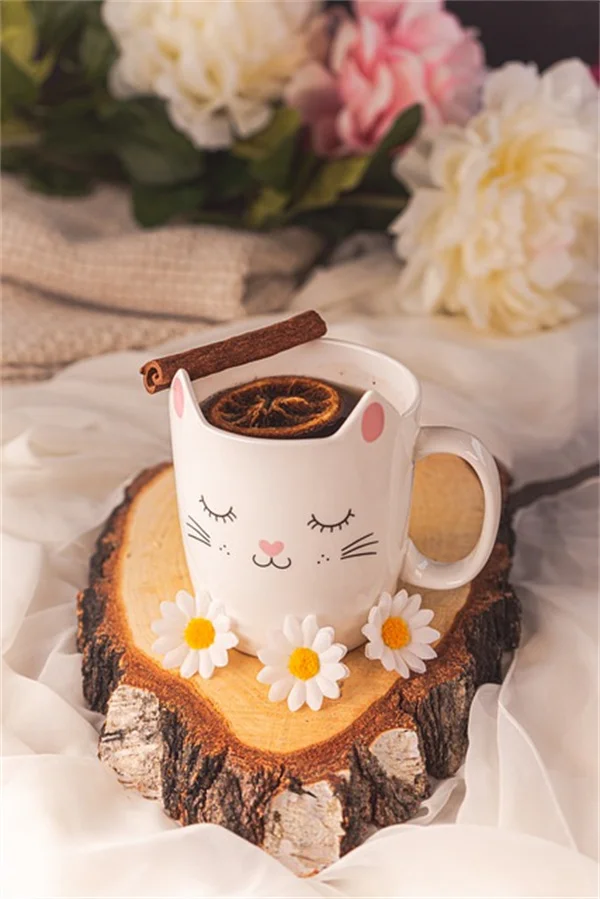 サンタの北極の庭を再現！6種類の極北植物と育て方のコツ